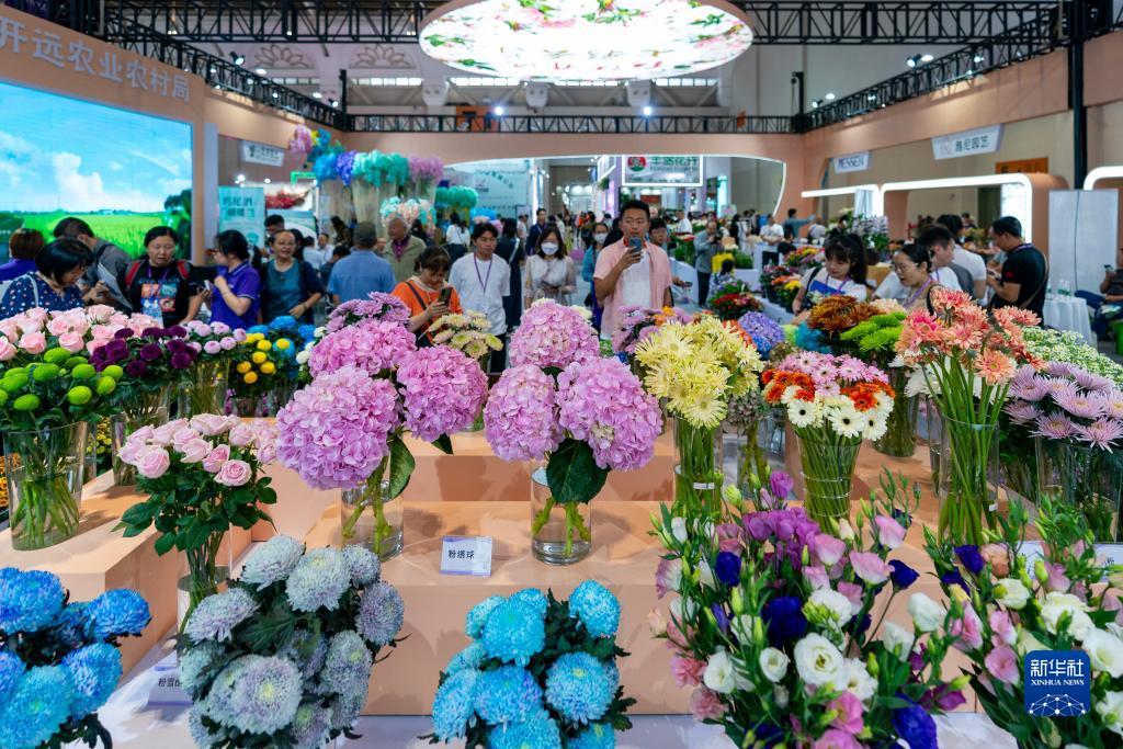 庄龙宝是什么意思